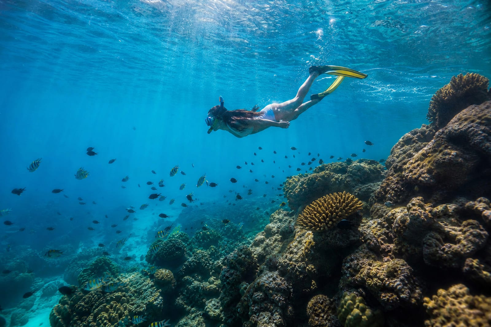 Plongée sous-marine aux îles Similan
